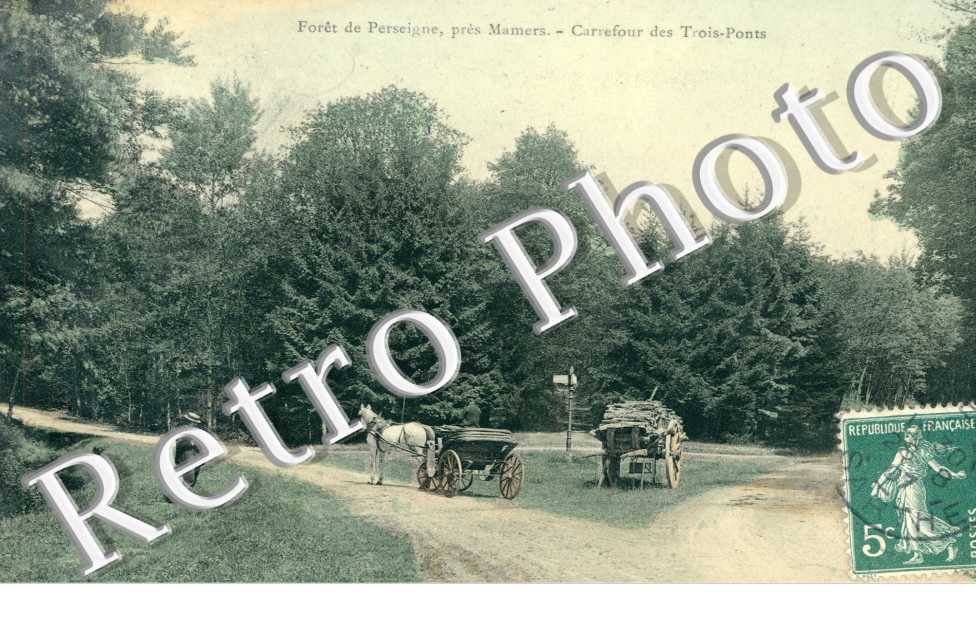 Forêt de Perseigne. Carrefour des 3 ponts