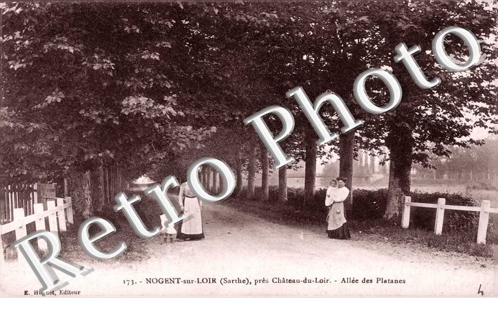 Allées des platanes