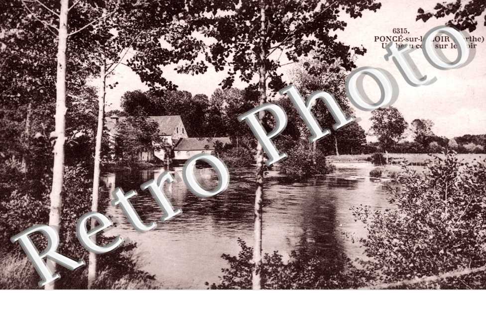 Un Beau coin sur le Loir