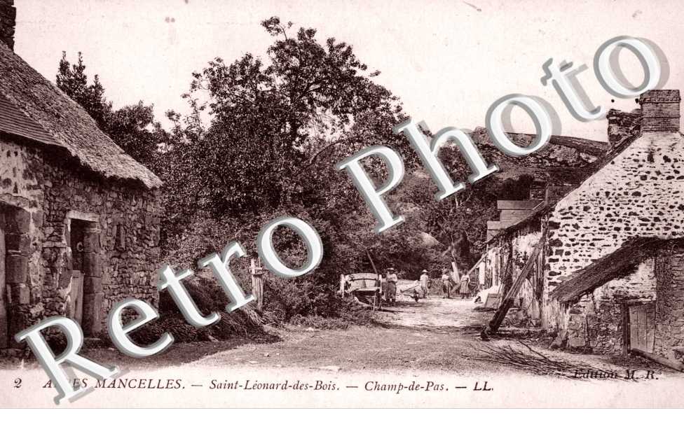 Champ de pas