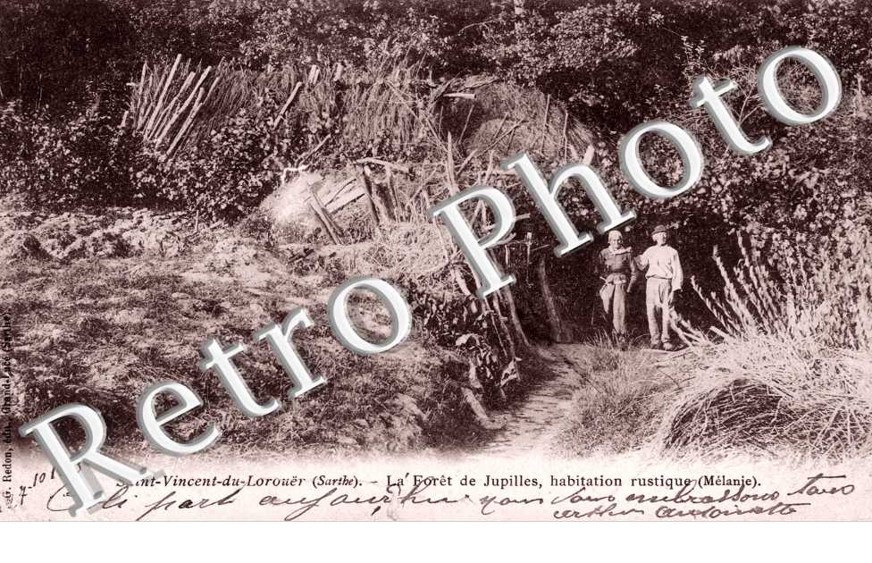 Foret de Jupilles