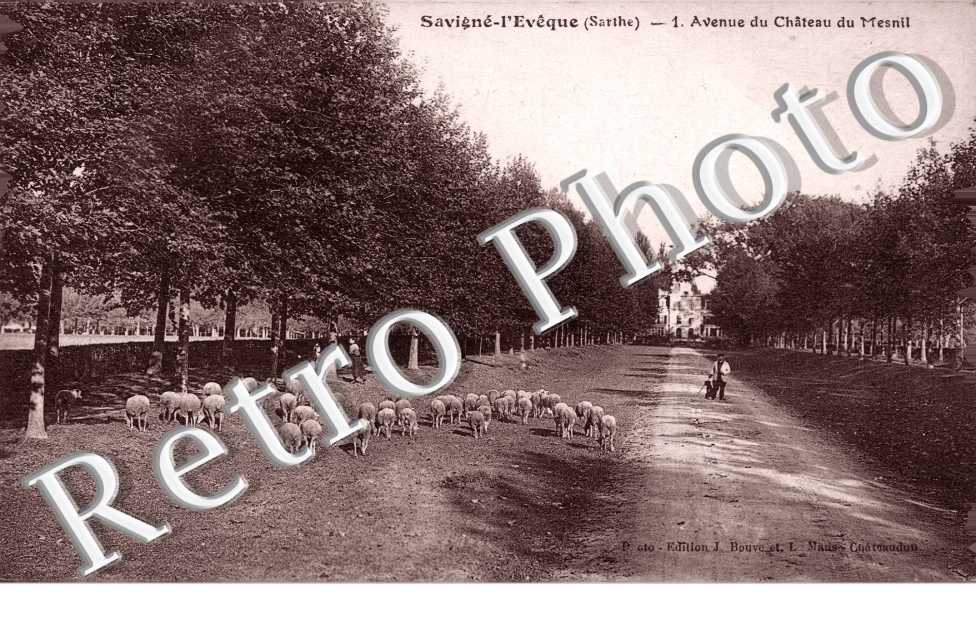 Avenue du chateau du Mesnil