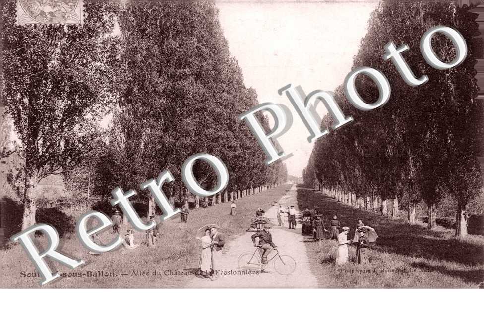 Allee du Chateau de la Freslonnieres