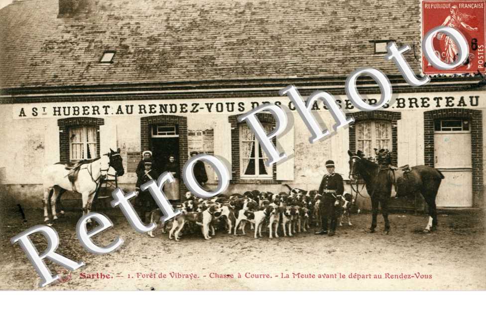 Chasse a Courre, la Meute