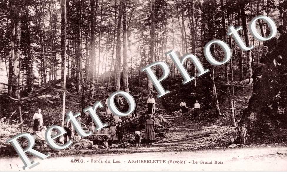 Le Grand Bois