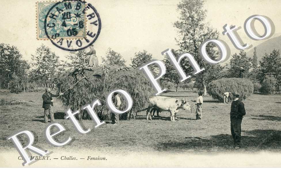 Fenaison