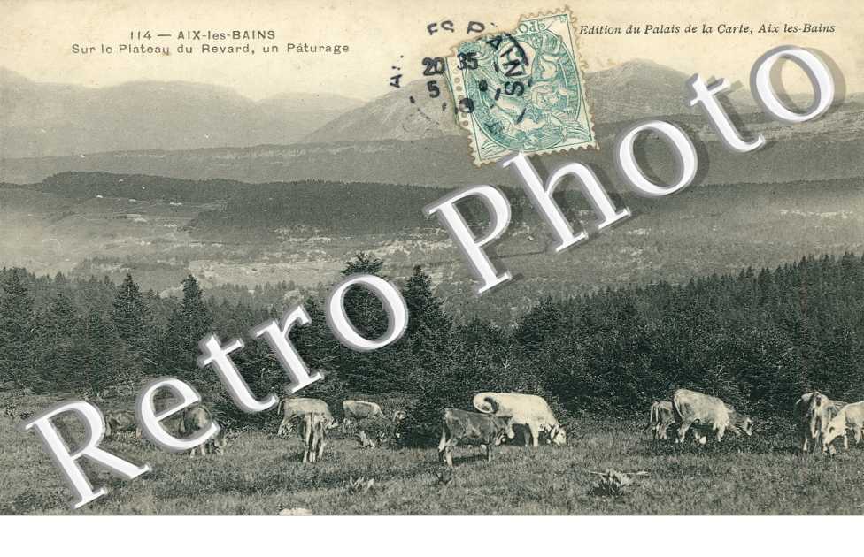 Sur le Plateau du Revard, un Paturage