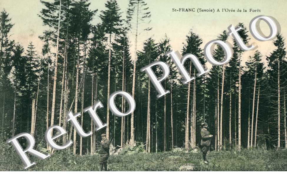 A l'Oree de la Foret