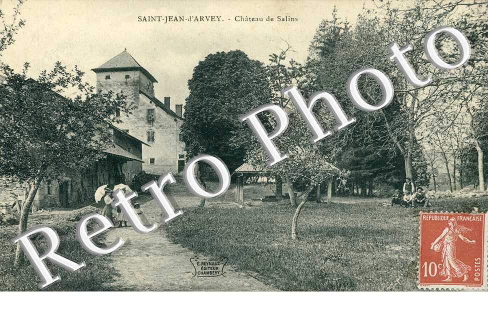 Le Chateau de Salins