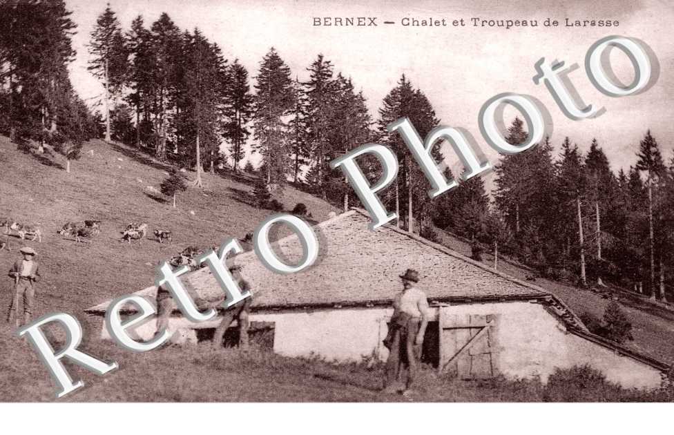 Chalet et Troupeau de Larasse