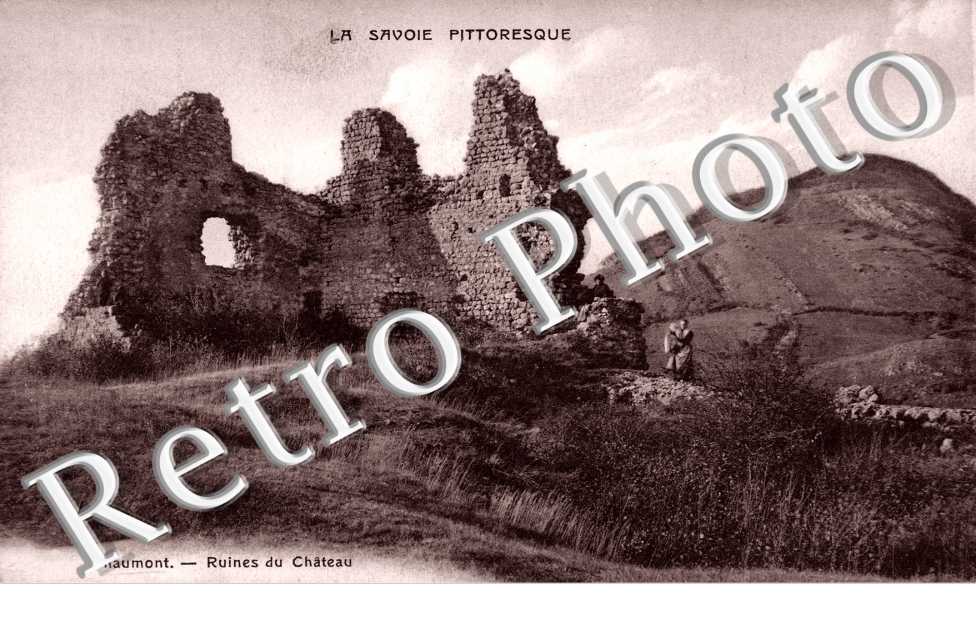 Ruines du Chateau
