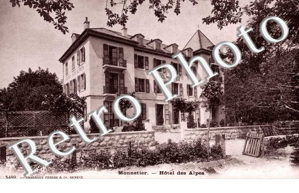 Hotel des Alpes