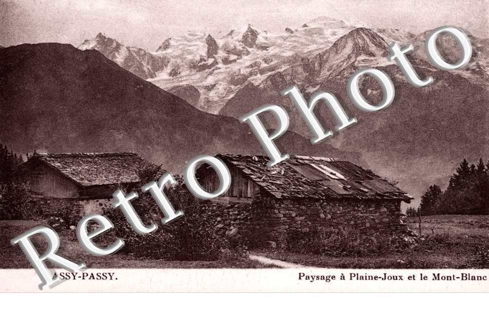 ASSY PASSY paysage a Plaine-Joux et le Mont Blanc