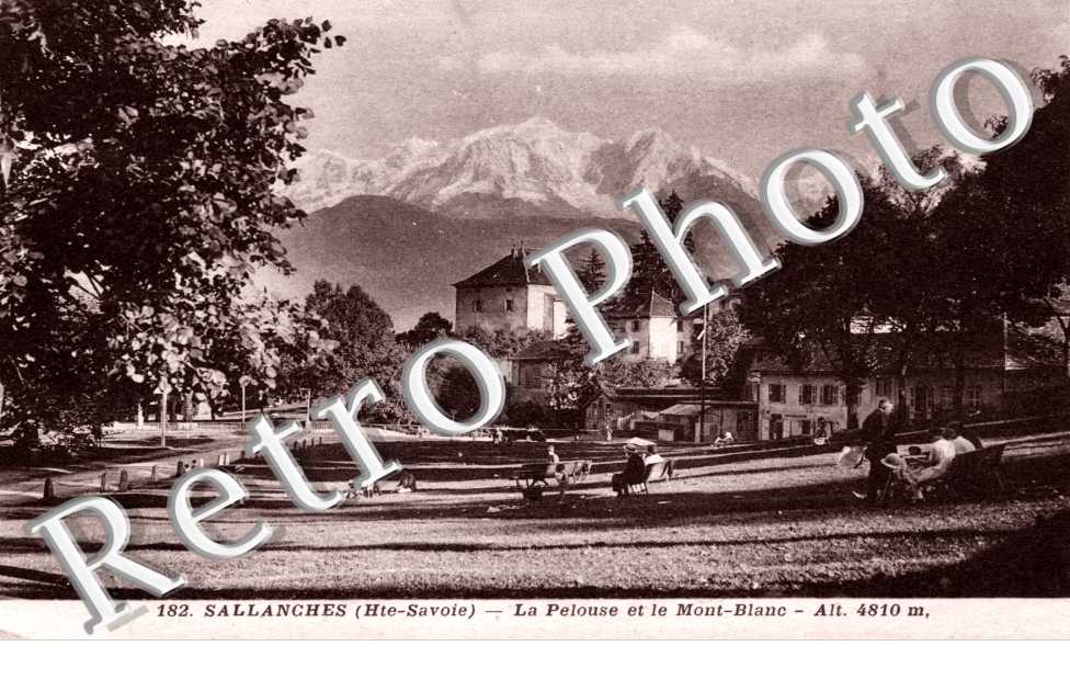 La Pelouse et le Mont Blanc