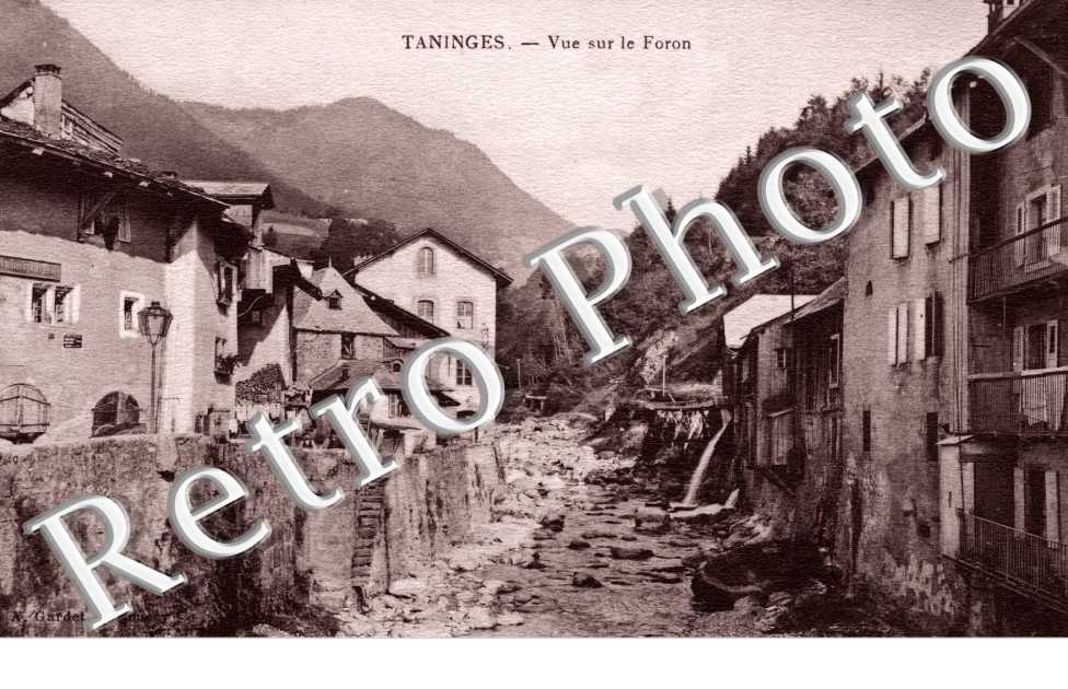 Vue sur le Foron