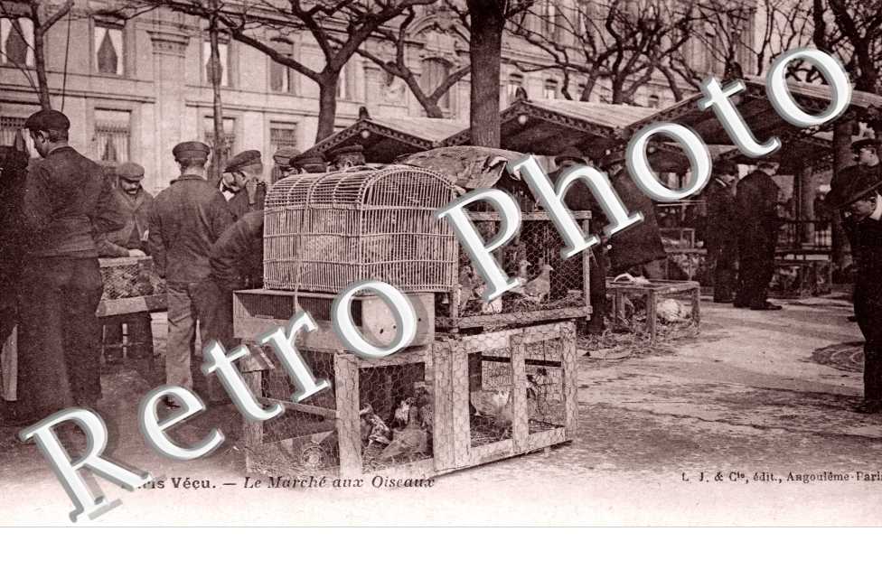 Le Marche aux Oiseaux