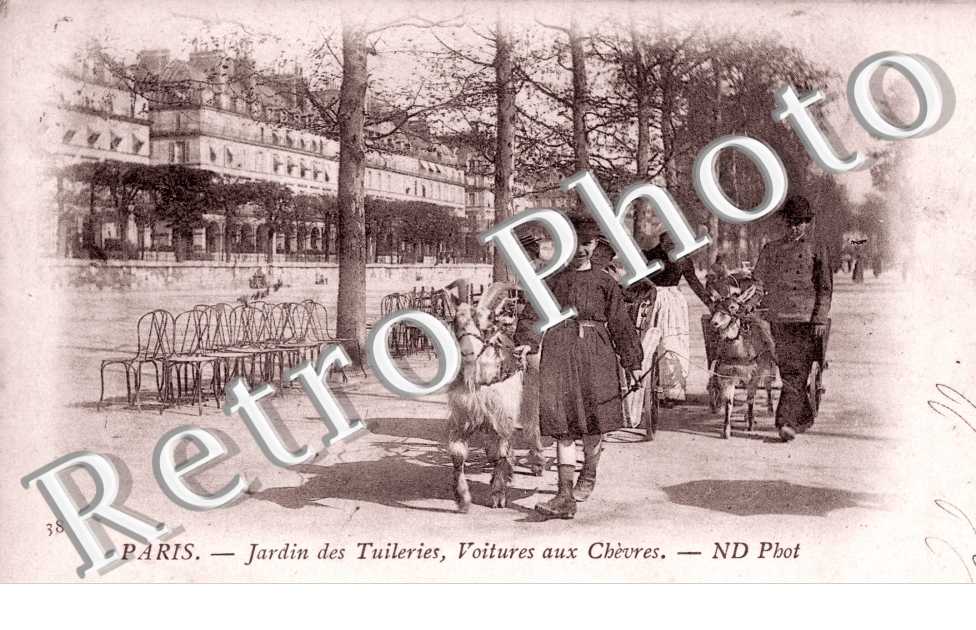 jardin des tuileries - voitures aux chevres