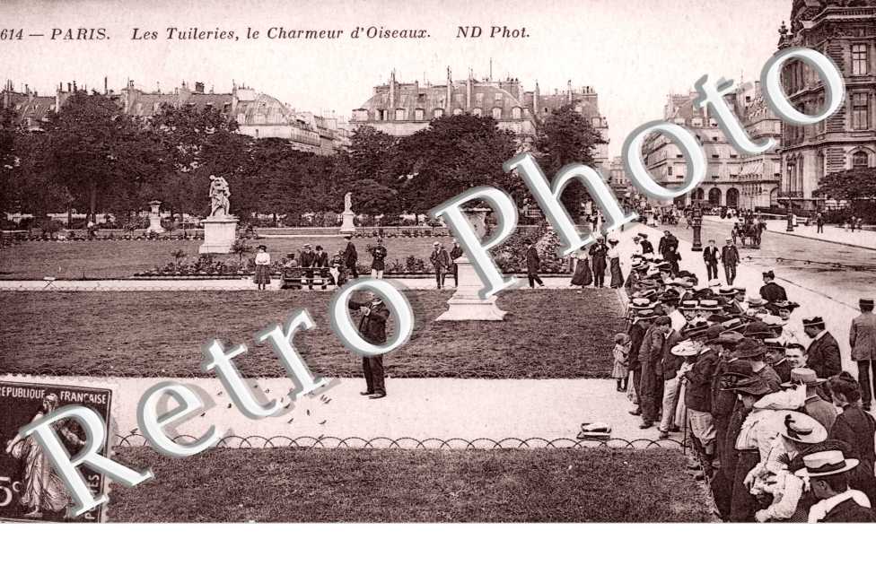 LE CHARMEUR D'OISEAUX AUX TUILERIES