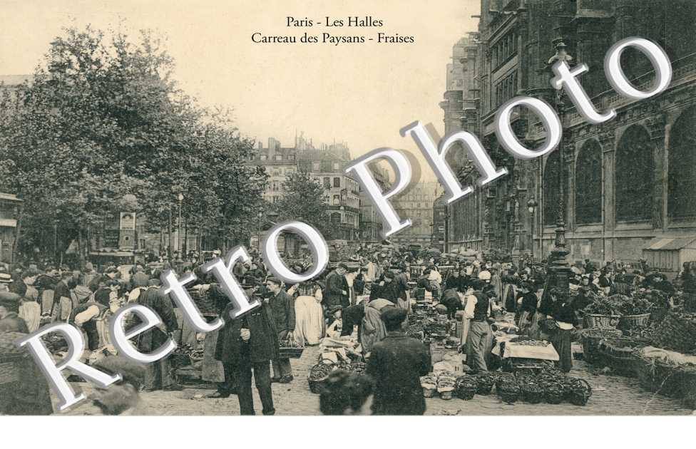 Les Halles  carreau des paysans  Fraises