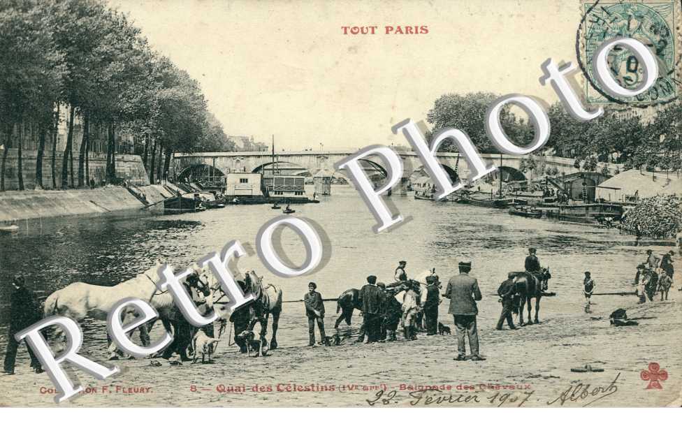 Quai des Celestins, Baignade des Chevaux