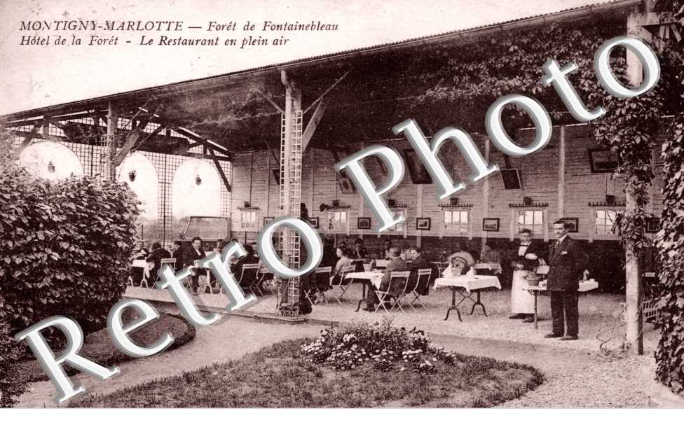 la Foret de Fontainebleau, l'Hotel de la Foret, le Restaurant en plein air