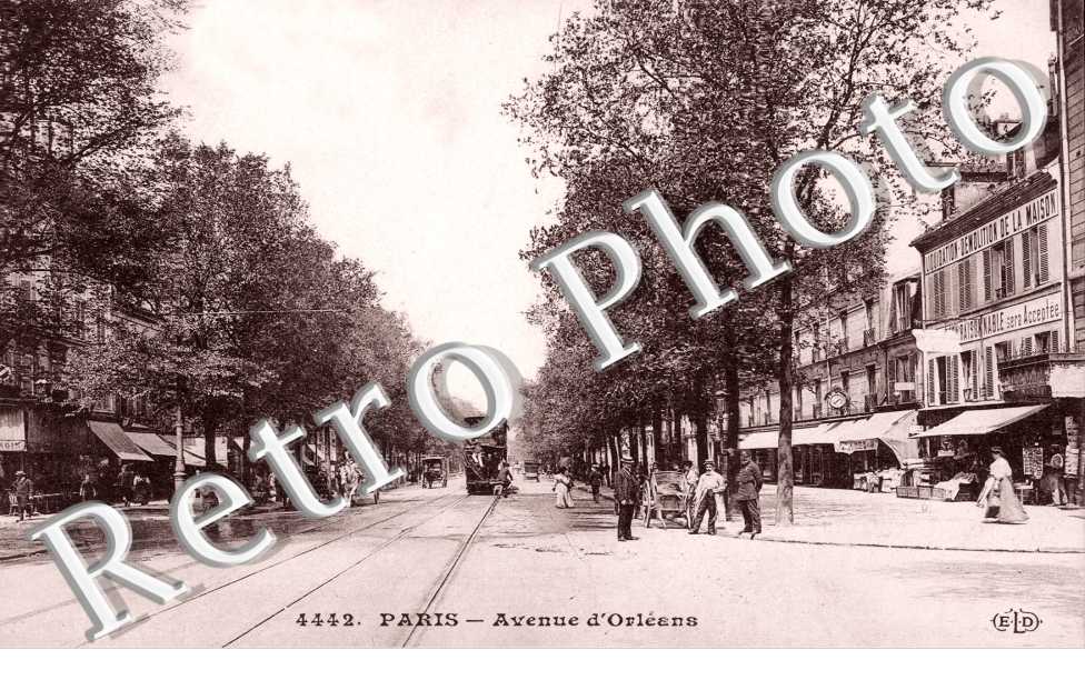 Avenue d'Orleans