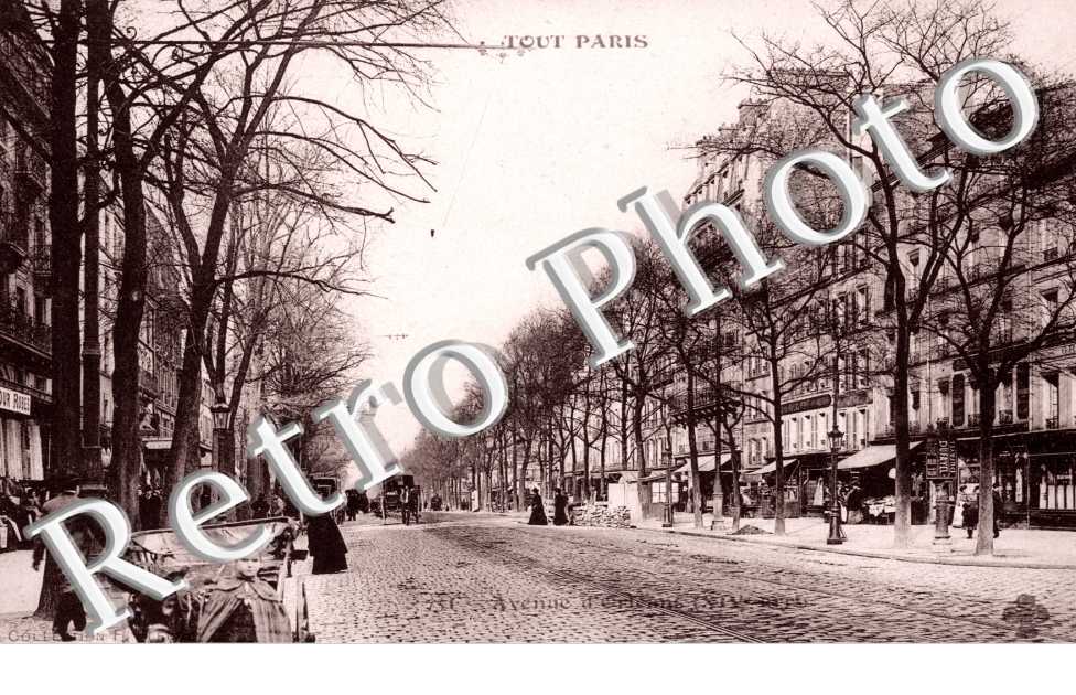 Avenue d'Orleans