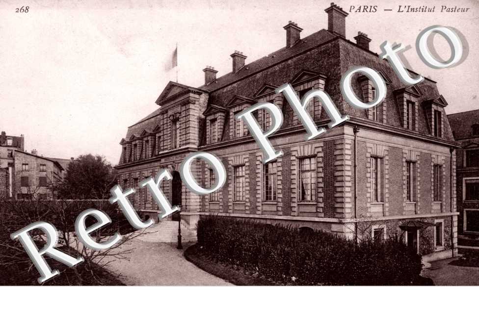 L'Institut Pasteur, Rue Dutot