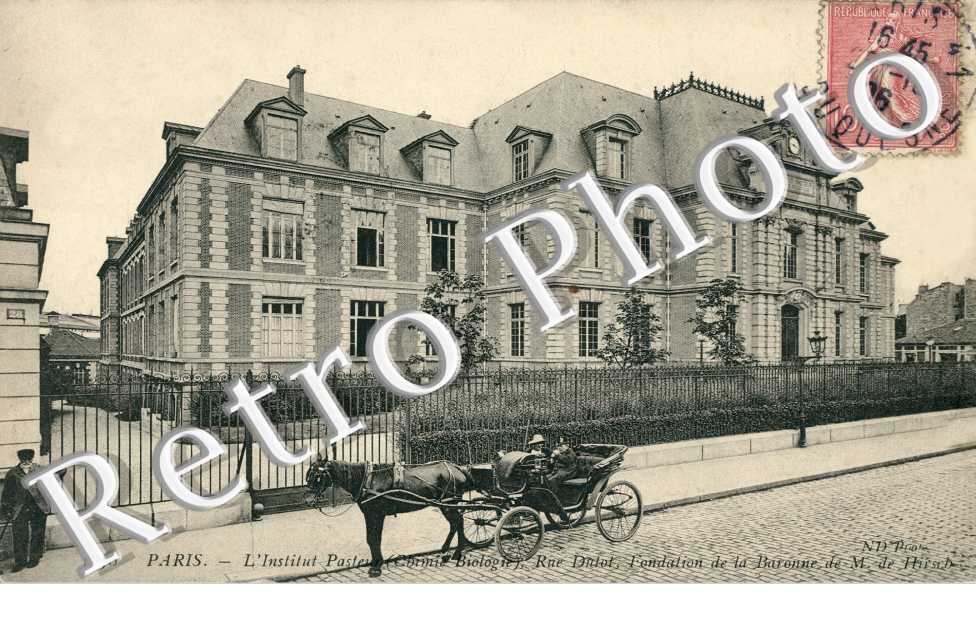 L'Institut Pasteur, Rue Dutot