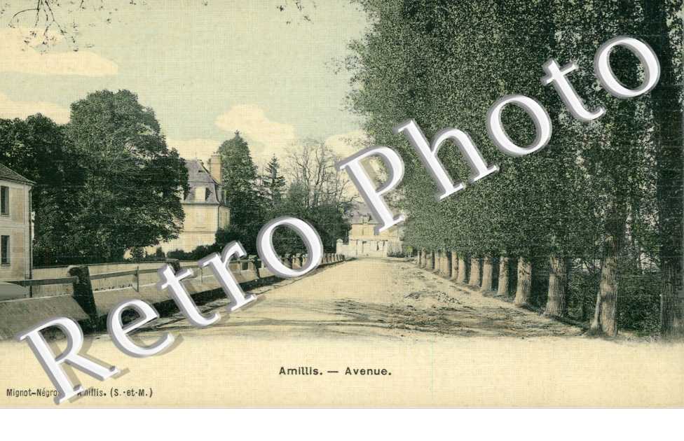 Avenue
