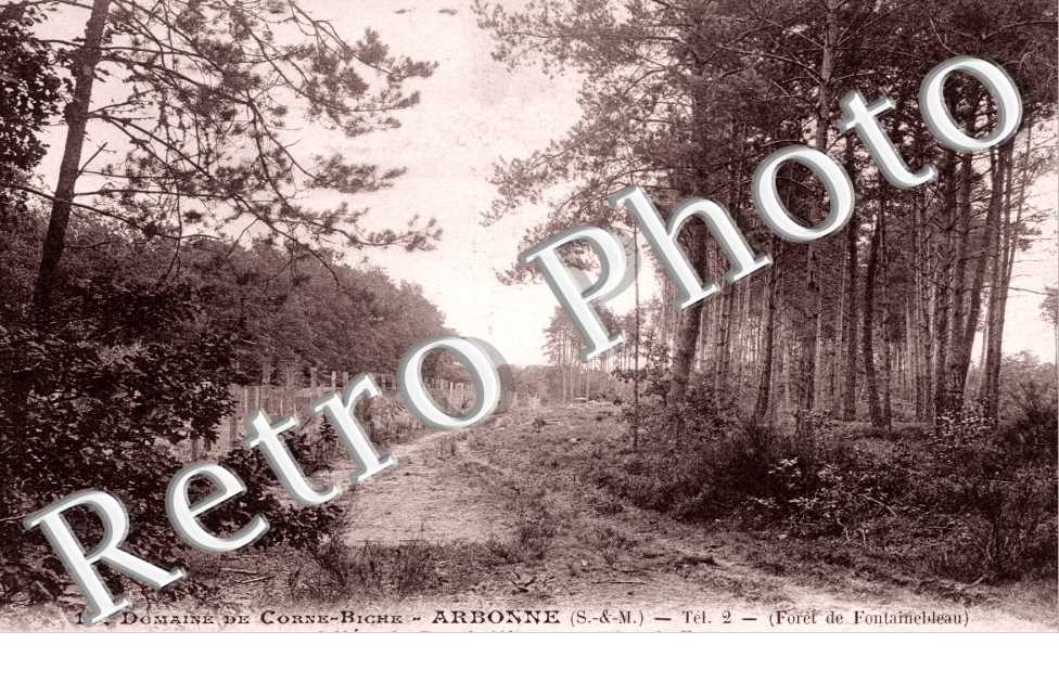 Allee des Poulaillers