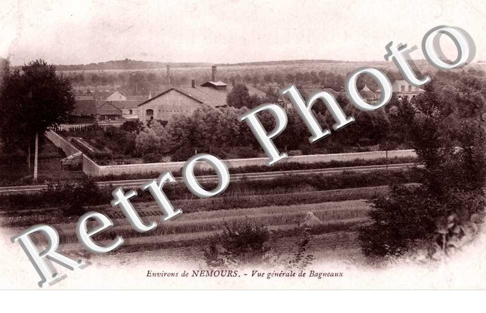 la Chasse a Courre en Foret de Fontainebleau