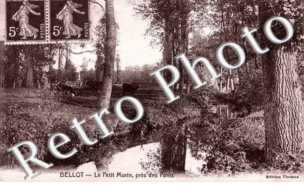 le petit Morin, pres des Ponts
