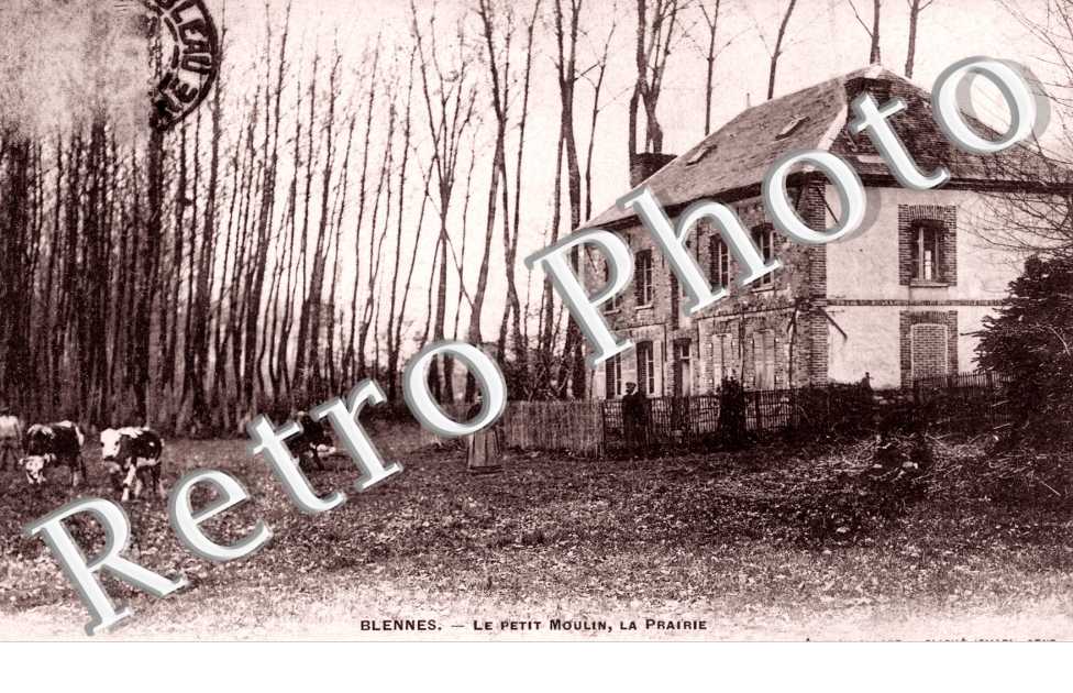 le petit moulin, la prairie