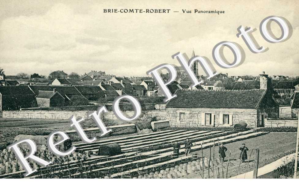 Vue panoramique