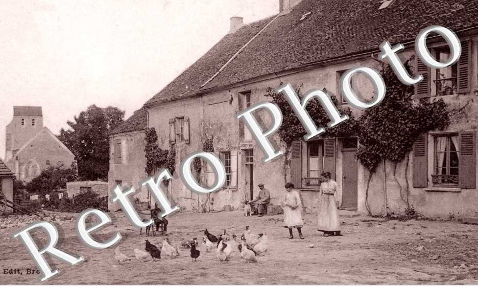 les Marronniers