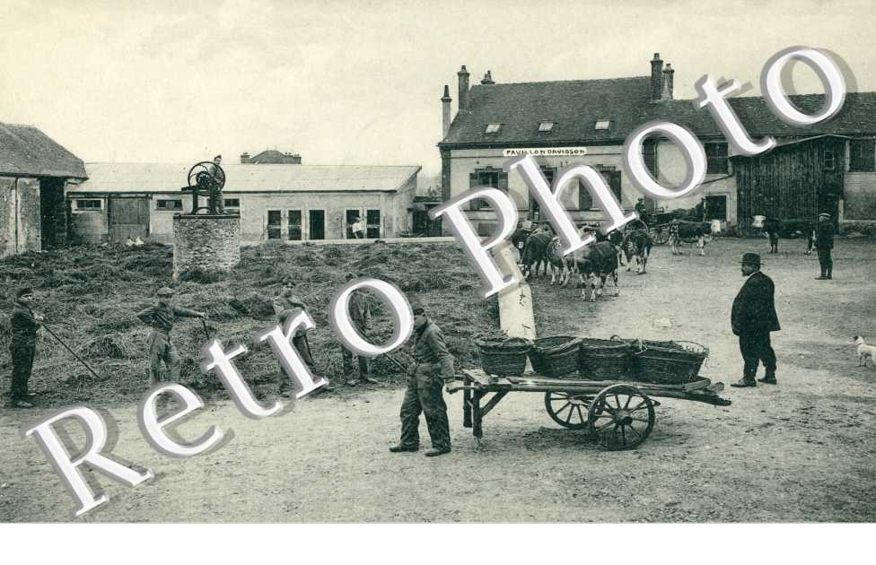 Ferme-Ecole de Pittsburgh, la Cour de la Ferme