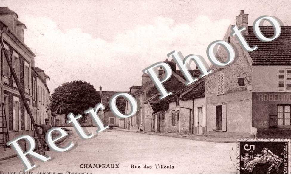 rue des Tilleuls