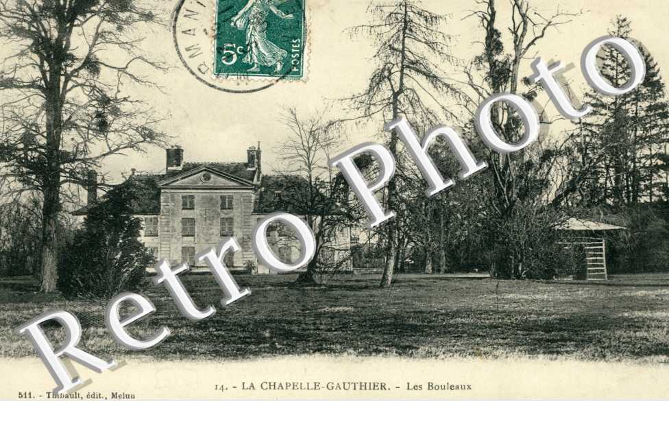 Les Bouleaux