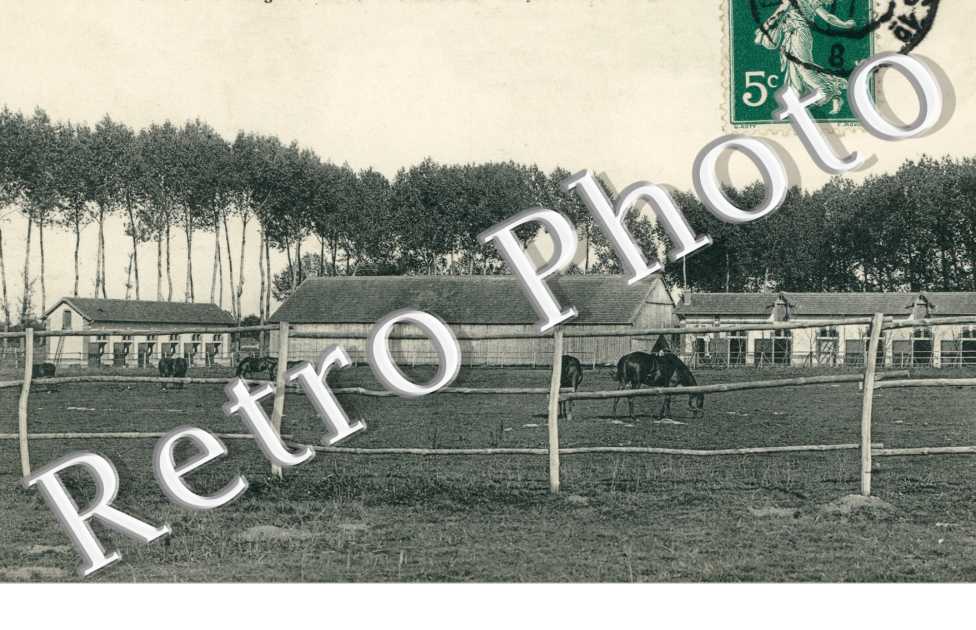 Chateau des Moyeux, le Haras