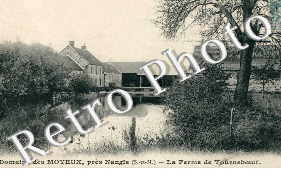 le Chateau des Moyeux