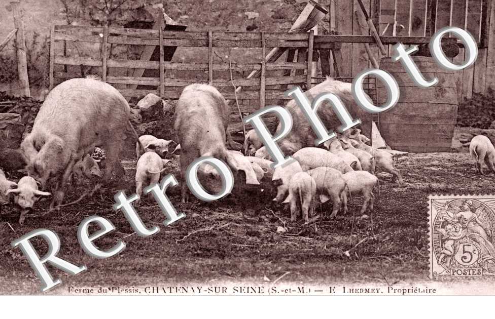 ferme du Plessis