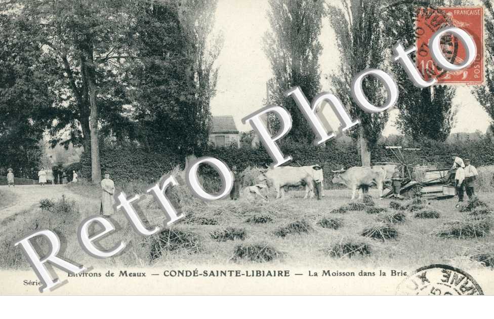 la Moisson dans le Brie