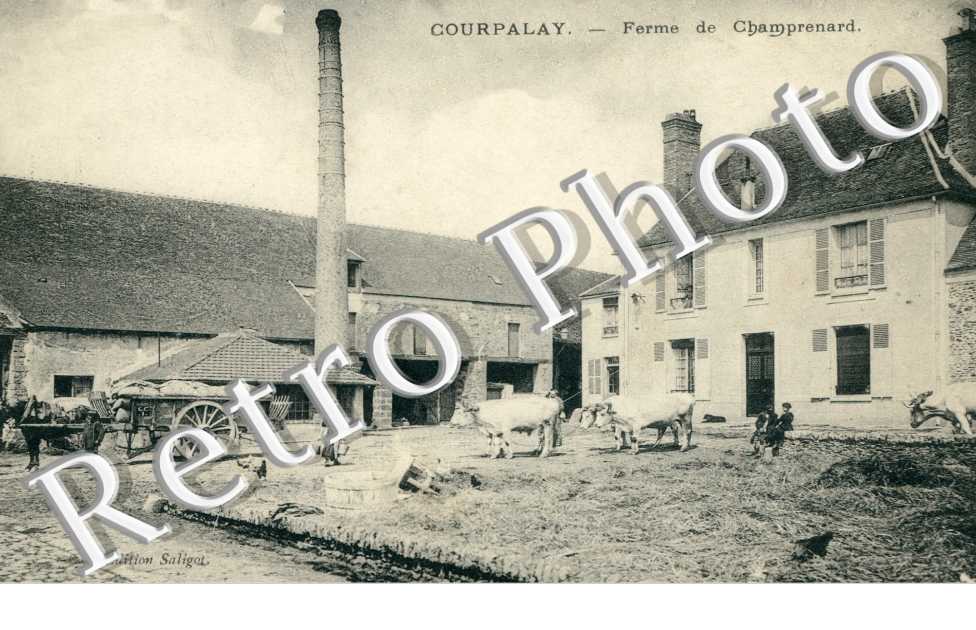 Ferme de Champrenard