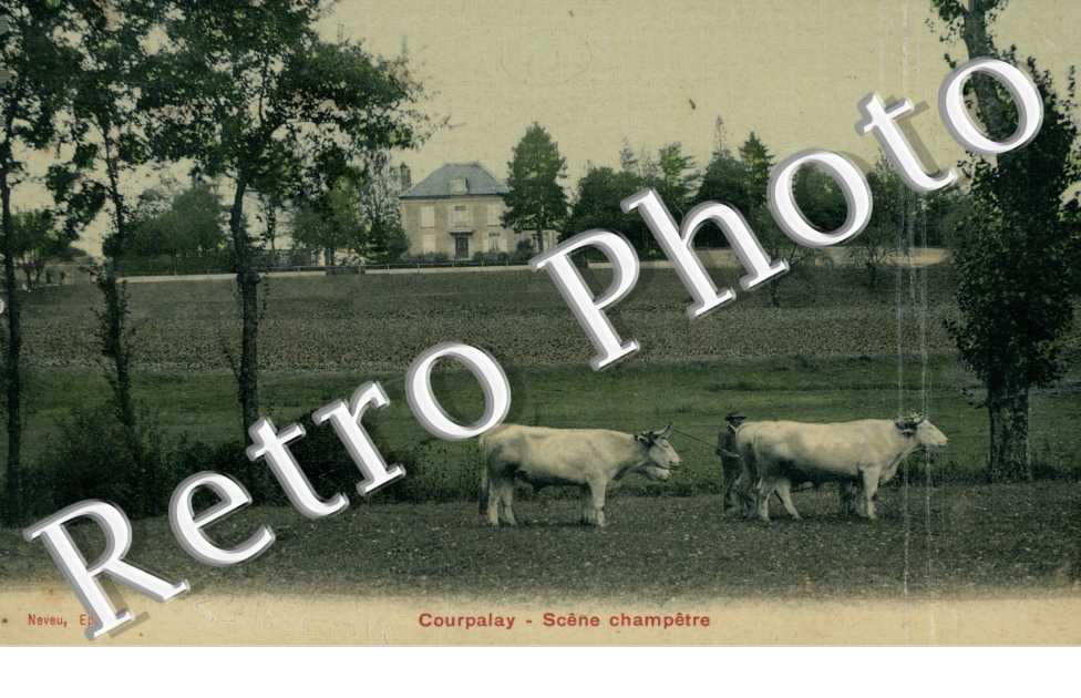Scene champetre 