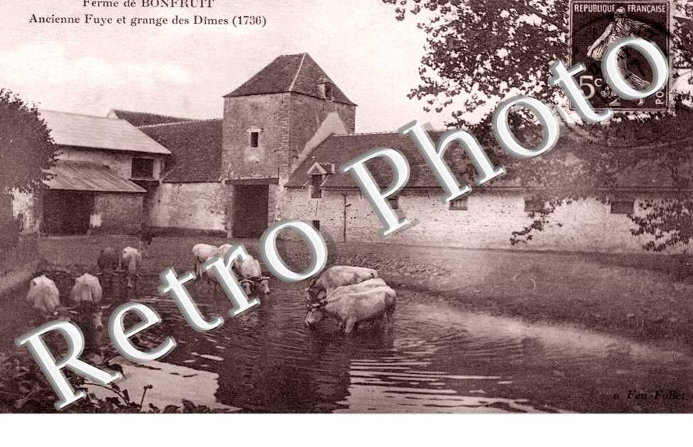 Ferme de Bonfruit
