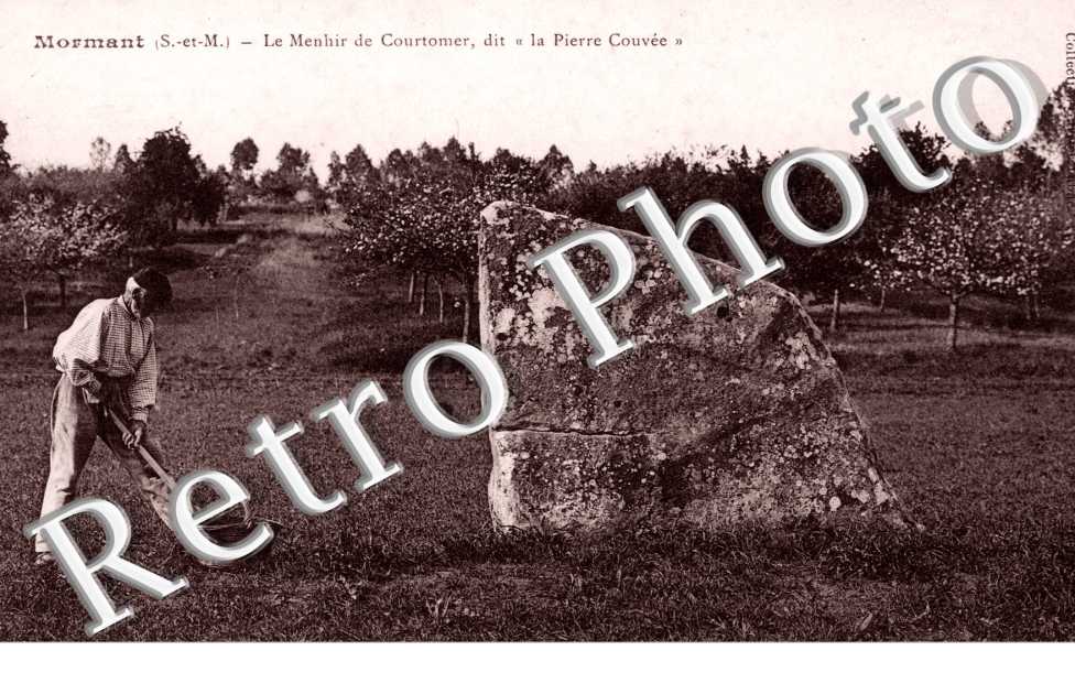 le Menhir de Courtomer, dit la "Pierre-Couvee"