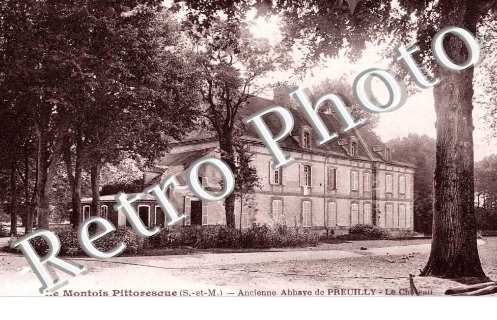 ancienne abbaye de Preuilly, le chateau