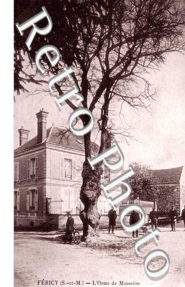 l'Orme de Maussion