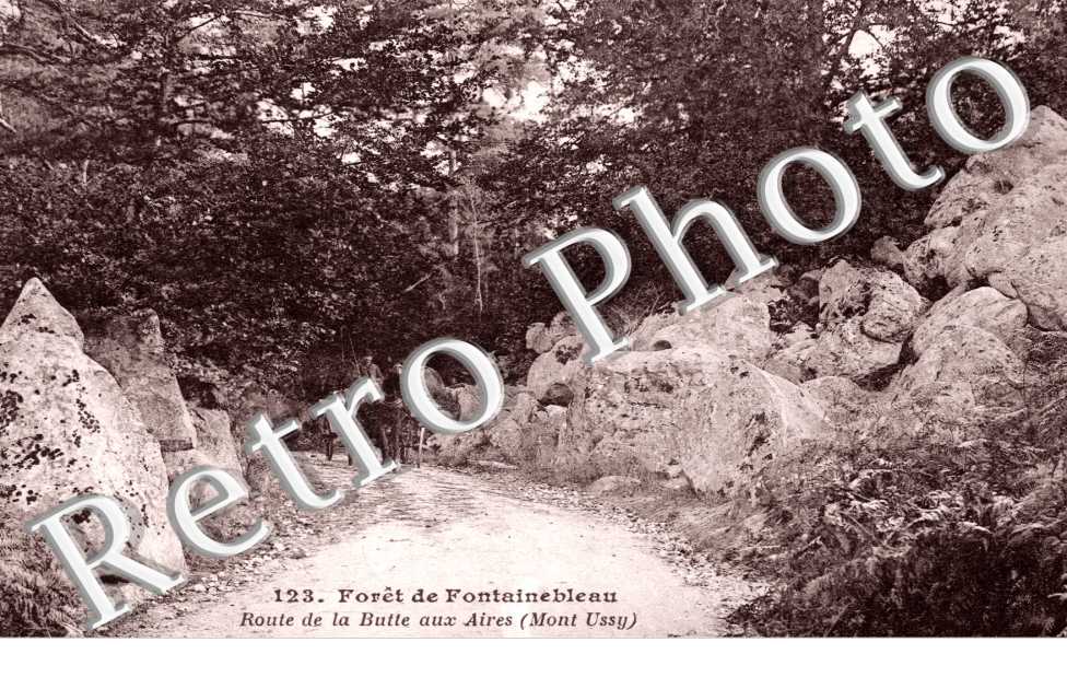Route de la Butte aux Aires